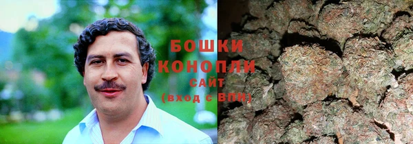 мяу мяу мука Белокуриха