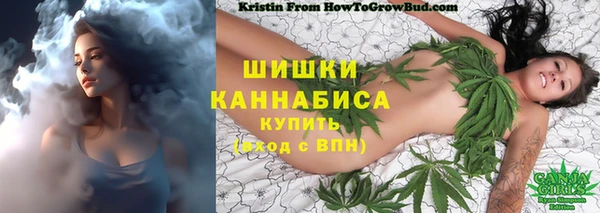 мяу мяу мука Белокуриха
