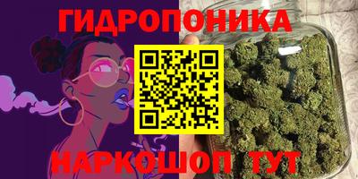 круглые Лесосибирск