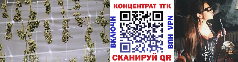 ТГК Wax  Горно-Алтайск 