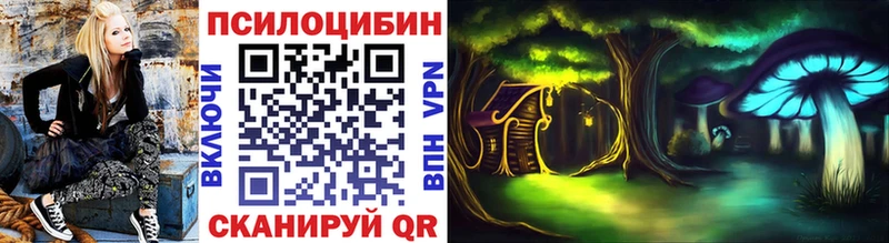 Галлюциногенные грибы Psilocybe закладка Горно-Алтайск